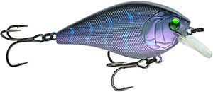 CR100X-BLC