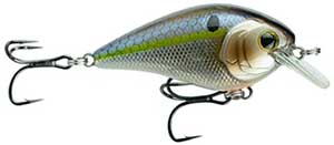 CR25X-CT