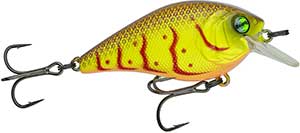 CR50X-RCS