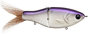 ECO---PURPLE-BACK