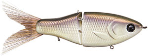 ECO---THREADFIN