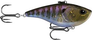 ED65-1
