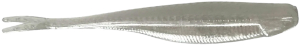 ES-P