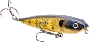 HCBSD-234_BitsyDawgBluegill_Main