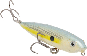 HCBSD-590_BitsyDawgSexyShad_Main