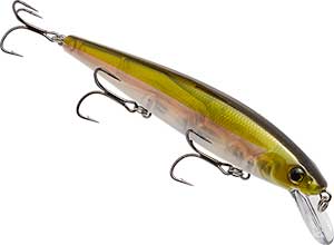 Strike King KVD Elite Jerkbait