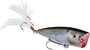 Strike King KVD Splash Topwater Popper