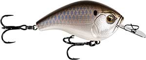 JJC60-81