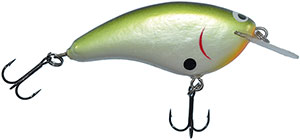 Louisiana_Shad