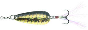 NI2FS1312