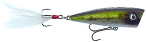 Lobina Lures Rico