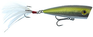RC-561