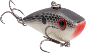 REYESDB-511_BitsyRedEyedShadGizzardShad_main