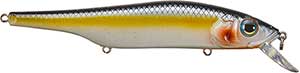 RTBLFSS120SK10687
