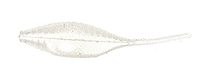 SA01108
