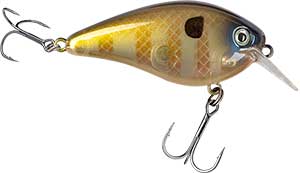 Strike King KVD Squarebill 1.5 Hard Knock Crankbait