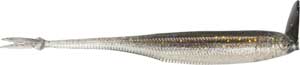 SSK37-GS