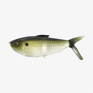 T13CBDINE4255
