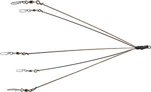 TBBWLRIG