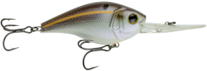 c15-Gizzard-Shad