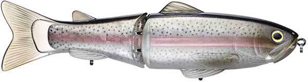 OTSS25019