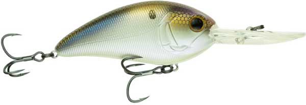 Click For Full Details