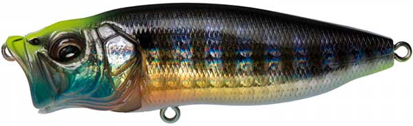 Megabass PopMax - MORE COLORS