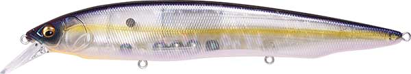 Megabass Kanata - NOW AVAILABLE