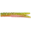 Crappie Magnet Body Packs