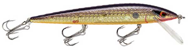 Smithwick Elite 8 Rogue - NEW COLORS