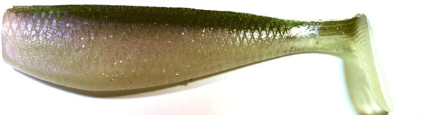 AA Worms Bad Bubba Shad - NEW BAIT!!!