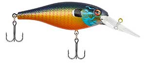 Berkley Bad Shad