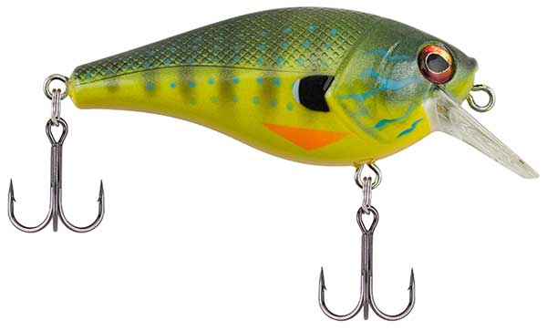 Berkley Pitbull - NEW COLORS AND SIZES