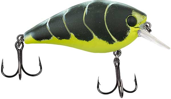 Catch Co. Bubonic Bugz Squarebill - NOW AVAILABLE