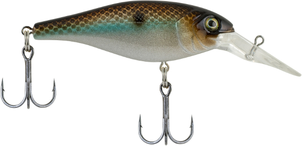 Berkley Bad Shad - NEW COLORS