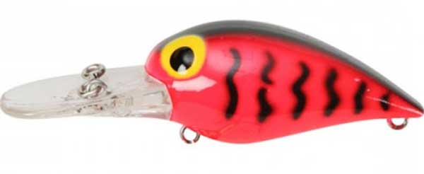Brad's Killer Fishing Gear Brad's Wiggler - New Brand and Lure!