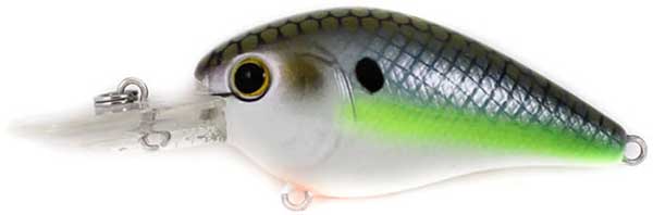 6th Sense Crush Mini 25MD Crankbait -  NOW IN STOCK