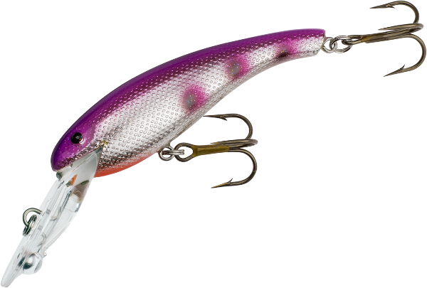 Cotton Cordell Wally Diver - NEW COLOR