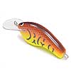 Now in Stock - CP Series Crankbaits