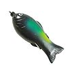 Culprit Topwater Shad