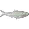 Drift Shad