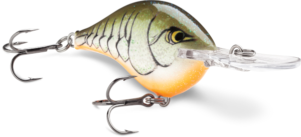 Rapala DT (Dives-To) Series - NEW SIZE