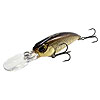 DUO Realis Shad 59MR - Now in Stock