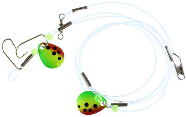 Catchmore Perch Rigs - NOW STOCKING