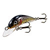 New at LBF - Gapen's Fish Fry