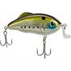 Saltwater Hybrid Hunter Shallow
