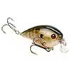 KVD 1.5 Shallow Runner Pro-Model Crankbait