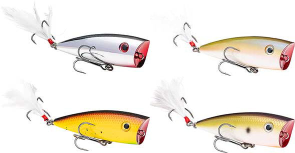 Strike King KVD Splash & Splash Jr Topwater Popper - NEW COLORS