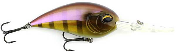 Jenko Fishing CD Series Deep Diving Crank Bait - MORE COLORS & SIZES