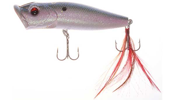 Jenko Fishing J-Pop Topwater Popper - NEW LURE!